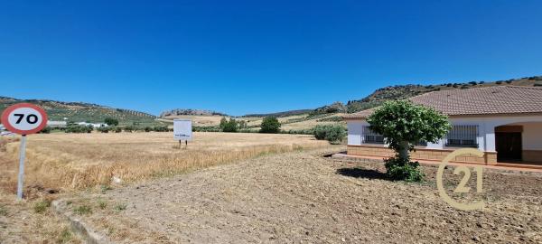 Terreno en ronda Campillos
