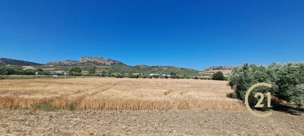 Terreno en ronda Campillos