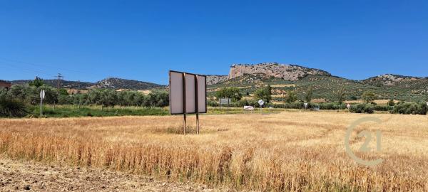 Terreno en ronda Campillos