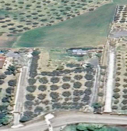 Terreno en avenida Reina Sofía, 190