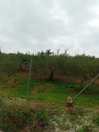 Terreno en avenida Reina Sofía, 190