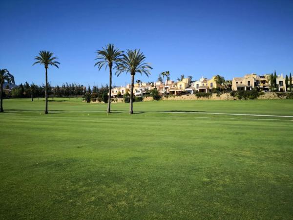 Terreno en calle 14, 125