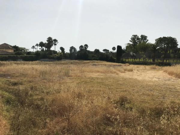 Terreno en calle 14, 125