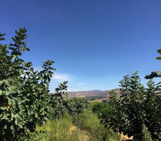 Terreno en a-357, 237