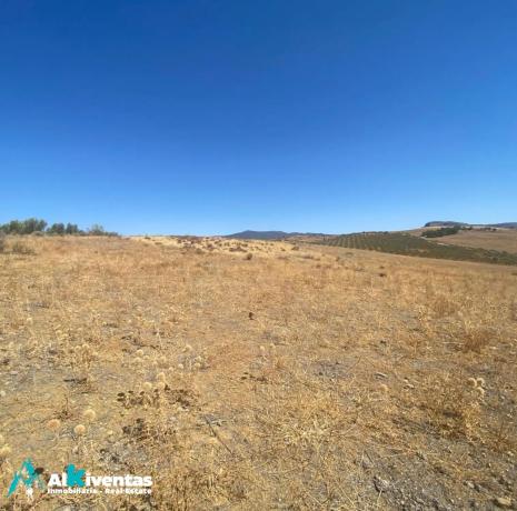 Terreno en Campillos