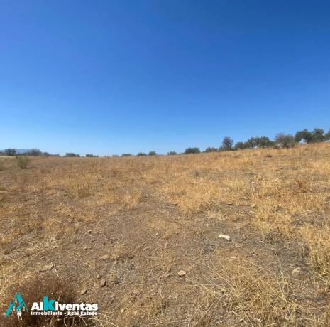 Terreno en Campillos