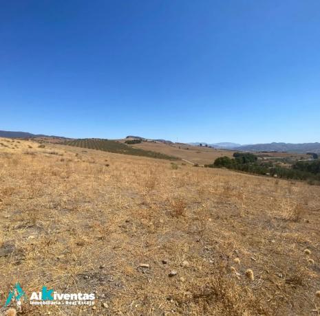 Terreno en Campillos