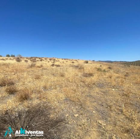 Terreno en Campillos