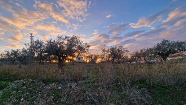 Terreno en Terreno Sup.I.6 Cantarranasiii, 443