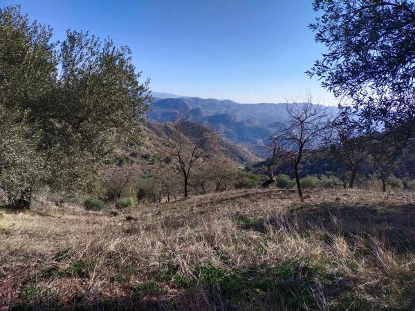 Terreno en Diseminado Diseminados