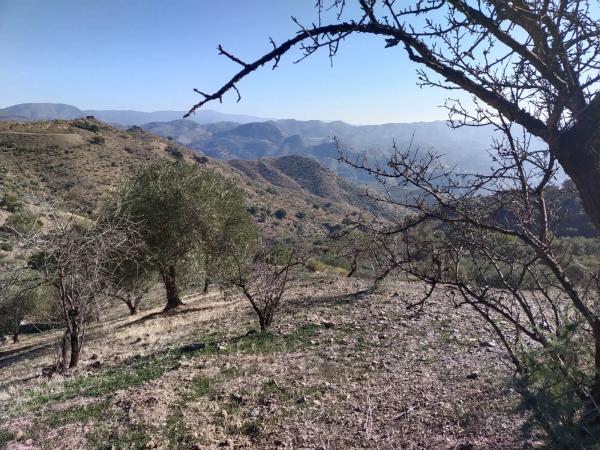 Terreno en Diseminado Diseminados