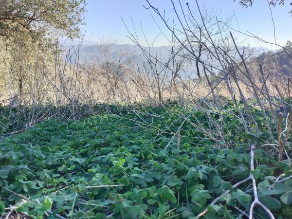 Terreno en Diseminado Diseminados