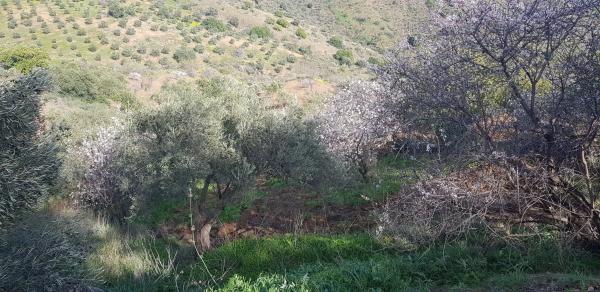 Terreno en Diseminado Diseminados