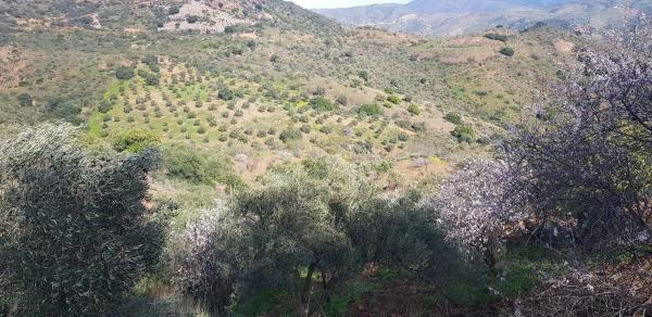 Terreno en Diseminado Diseminados