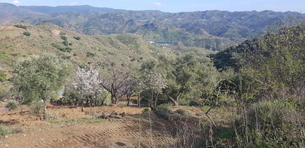 Terreno en Diseminado Diseminados