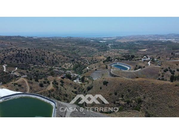 Terreno en Camino Algarrobo - Las Arenas