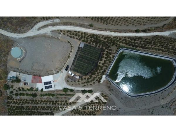 Terreno en Camino Algarrobo - Las Arenas