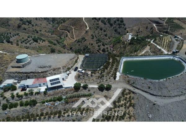 Terreno en Camino Algarrobo - Las Arenas