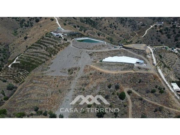 Terreno en Camino Algarrobo - Las Arenas