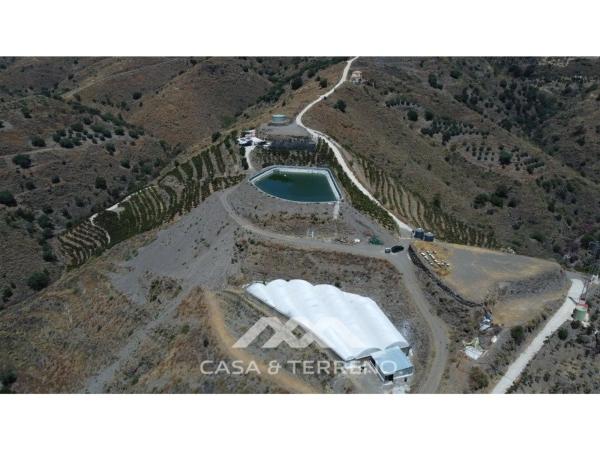 Terreno en Camino Algarrobo - Las Arenas