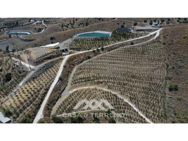 Terreno en Camino Algarrobo - Las Arenas