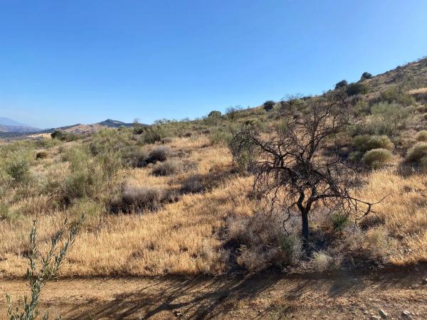 Terreno en fuente amarga s/n