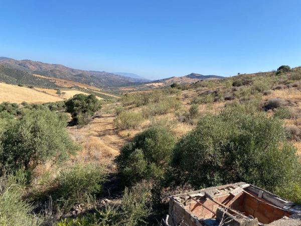 Terreno en fuente amarga s/n