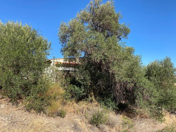 Terreno en fuente amarga s/n