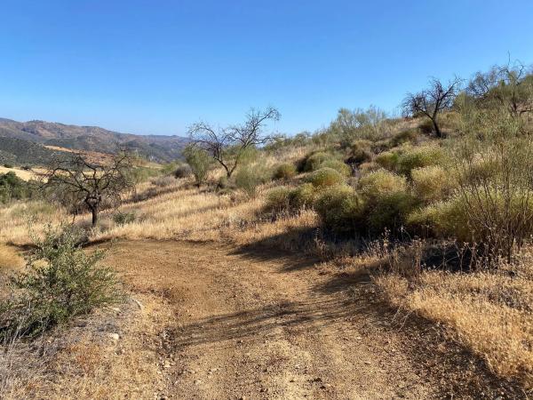 Terreno en fuente amarga s/n