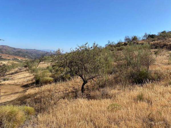 Terreno en fuente amarga s/n