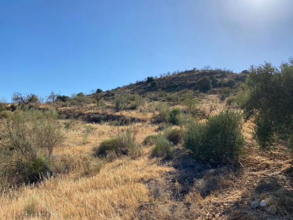 Terreno en fuente amarga s/n