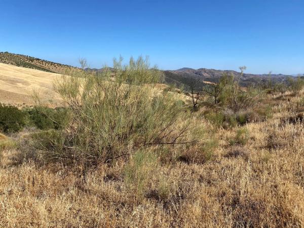 Terreno en fuente amarga s/n