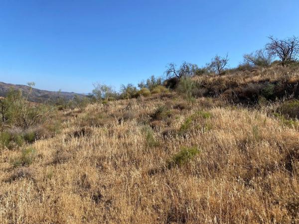 Terreno en fuente amarga s/n