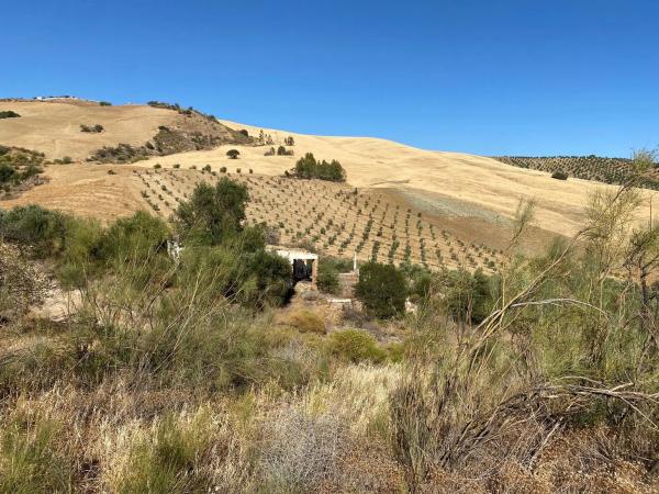 Terreno en fuente amarga s/n