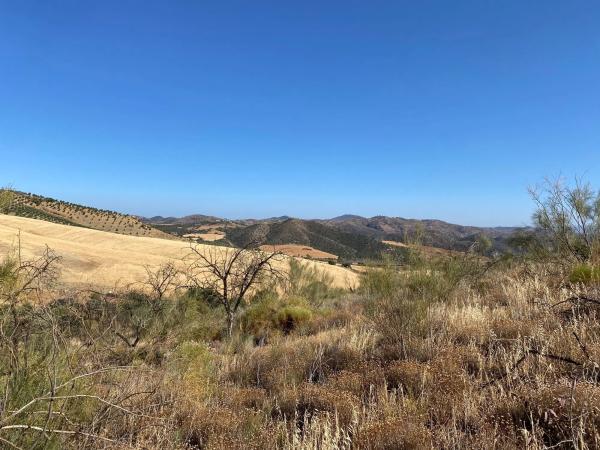 Terreno en fuente amarga s/n