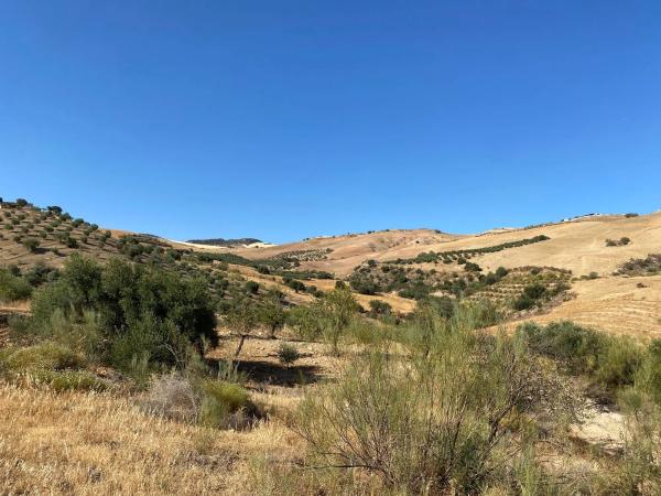 Terreno en fuente amarga s/n