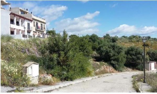 Terreno en calle Haza de los Pajaros s/n