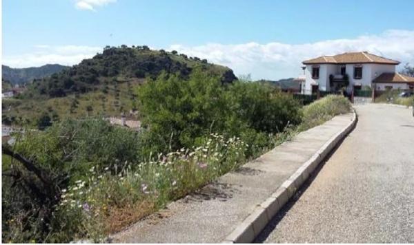 Terreno en calle Haza de los Pajaros s/n