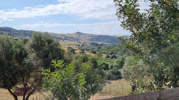 Terreno en Polígono 23, 113