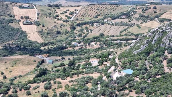 Terreno en Polígono 23, 113