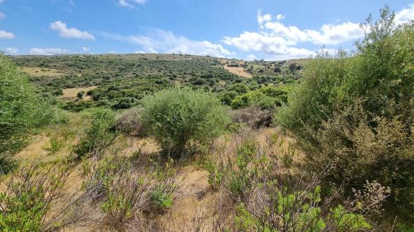 Terreno en Polígono 23, 113