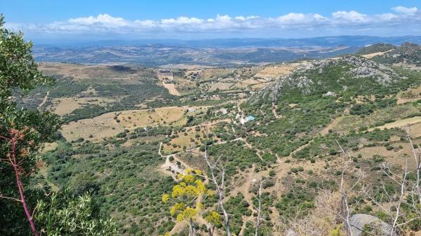 Terreno en Polígono 23, 113
