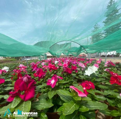 Terreno en M9j7+v8 Alhaurín de la Torre