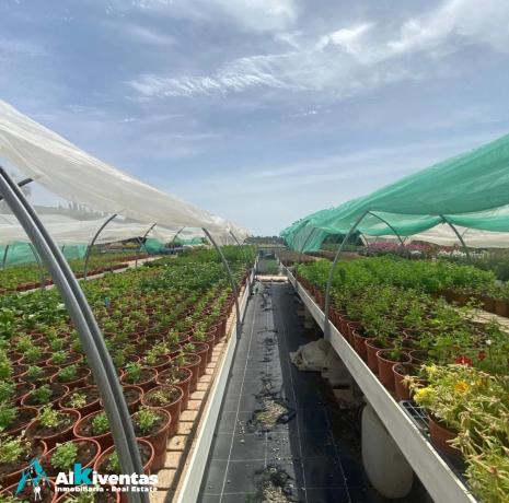 Terreno en M9j7+v8 Alhaurín de la Torre