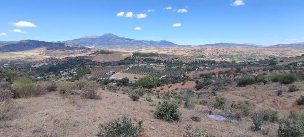 Terreno en carretera Coín-Tolox s/n