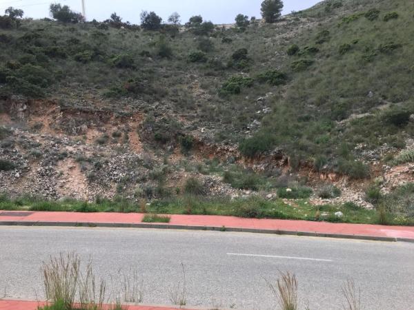 Terreno en calle Oregano, 27