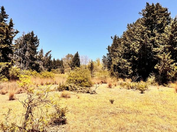 Terreno en calle del Chopo