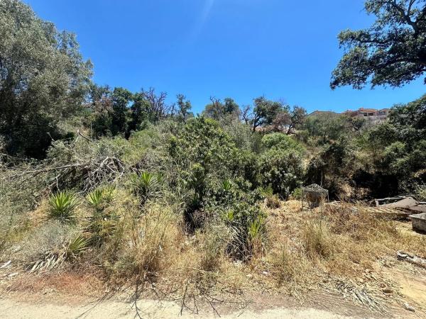Terreno en paseo de Alemania