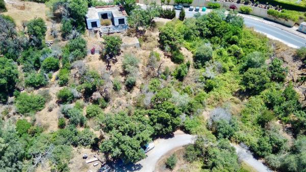 Terreno en paseo de Alemania