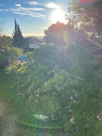 Terreno en calle Castillo Bajo, 4 c